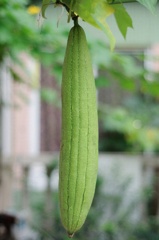 DSC_2755_s