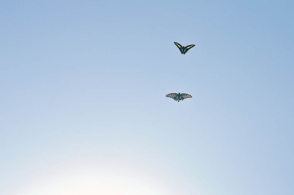 DSC_4467_1