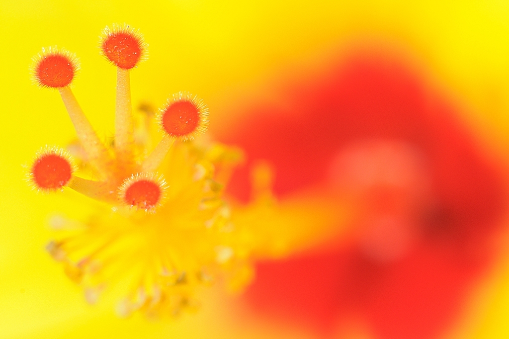 DSC_3565_1