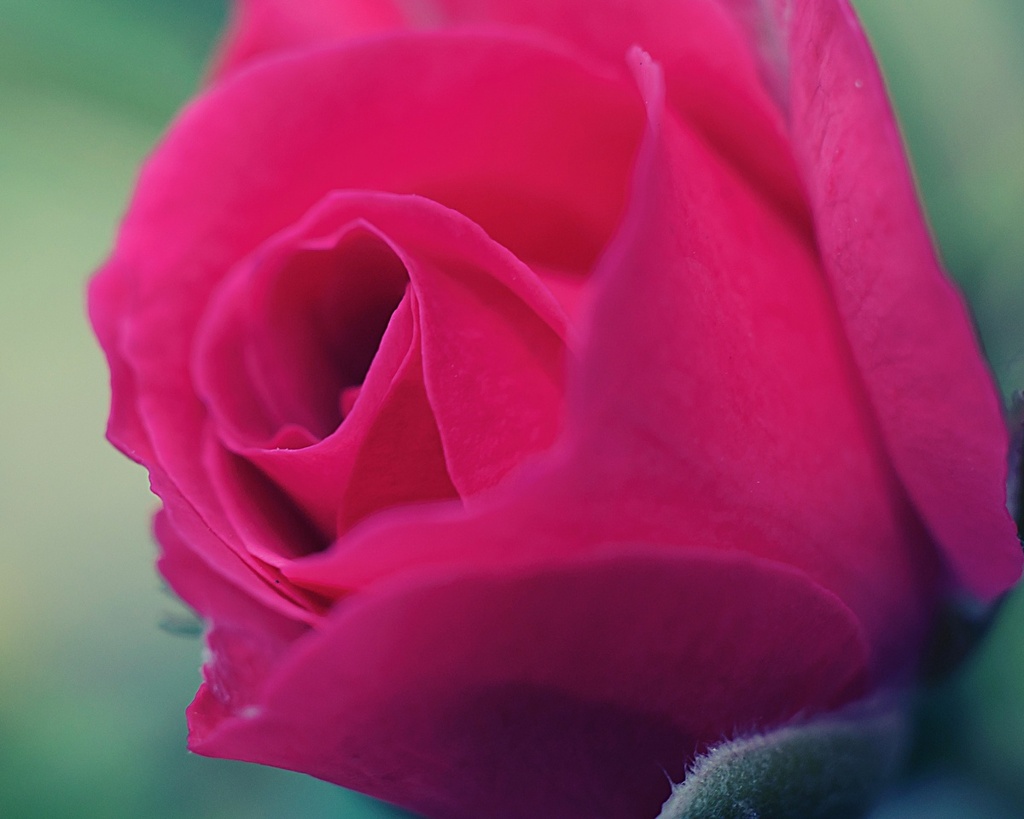 DSC_0804 (1)