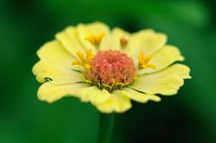 DSC_5012_s