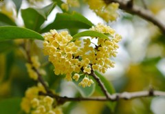 DSC_5581_s