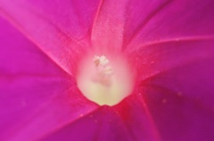DSC_2764_s
