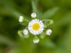 DSC_1506_34