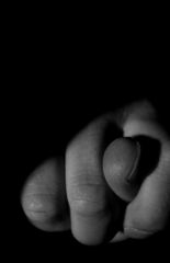 Fig Sign
