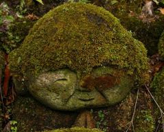 マイド　オオキニ