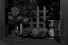 祠と鬼灯