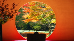 丸窓の秋