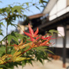 秋の始まり