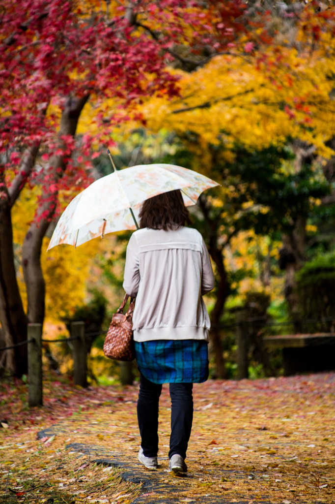 紅葉の上を歩く人。。。