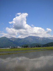 久しぶりに晴れて（米どころ南魚沼）