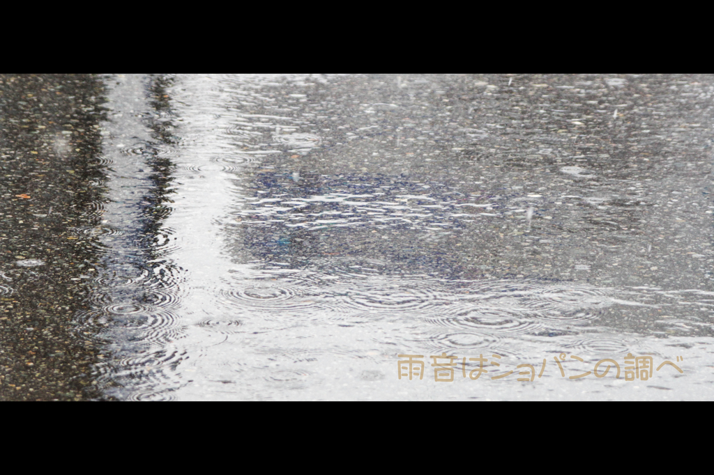 雨音は。。。