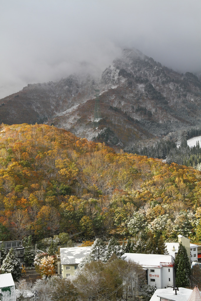 初雪