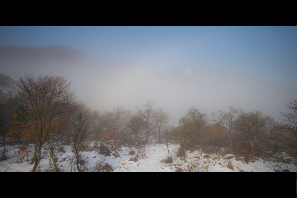 mist