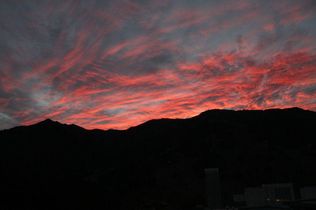 窓から見える景色