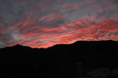 窓から見える景色