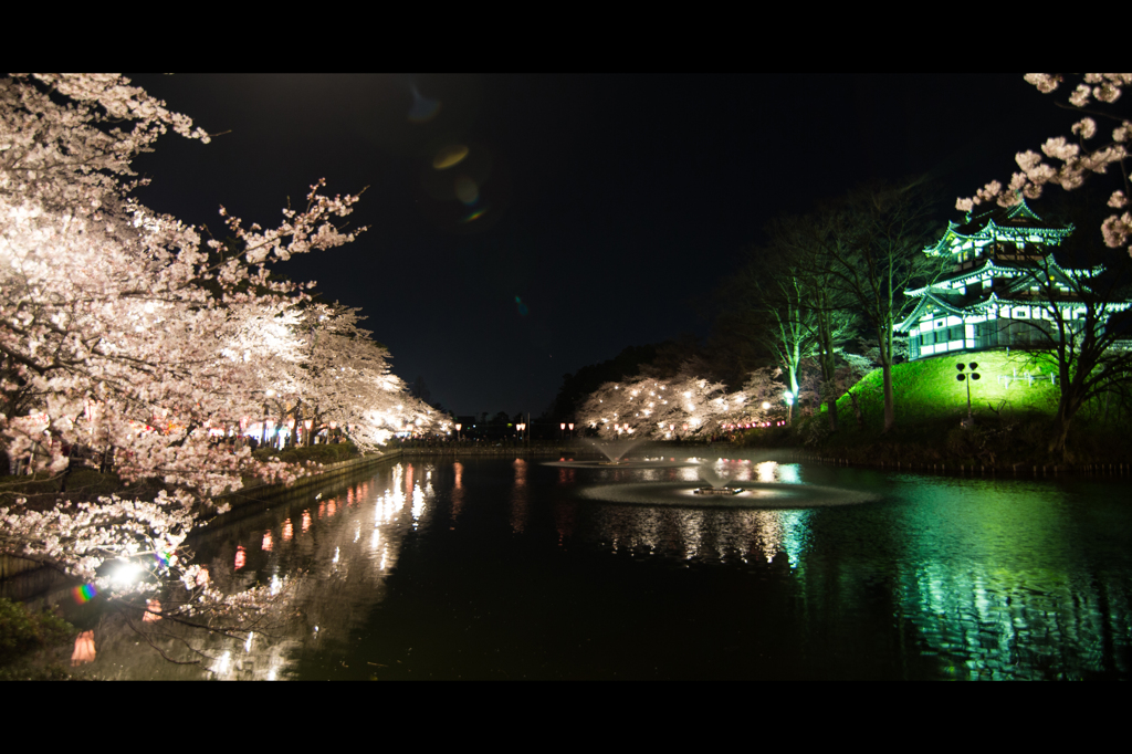 高田の桜