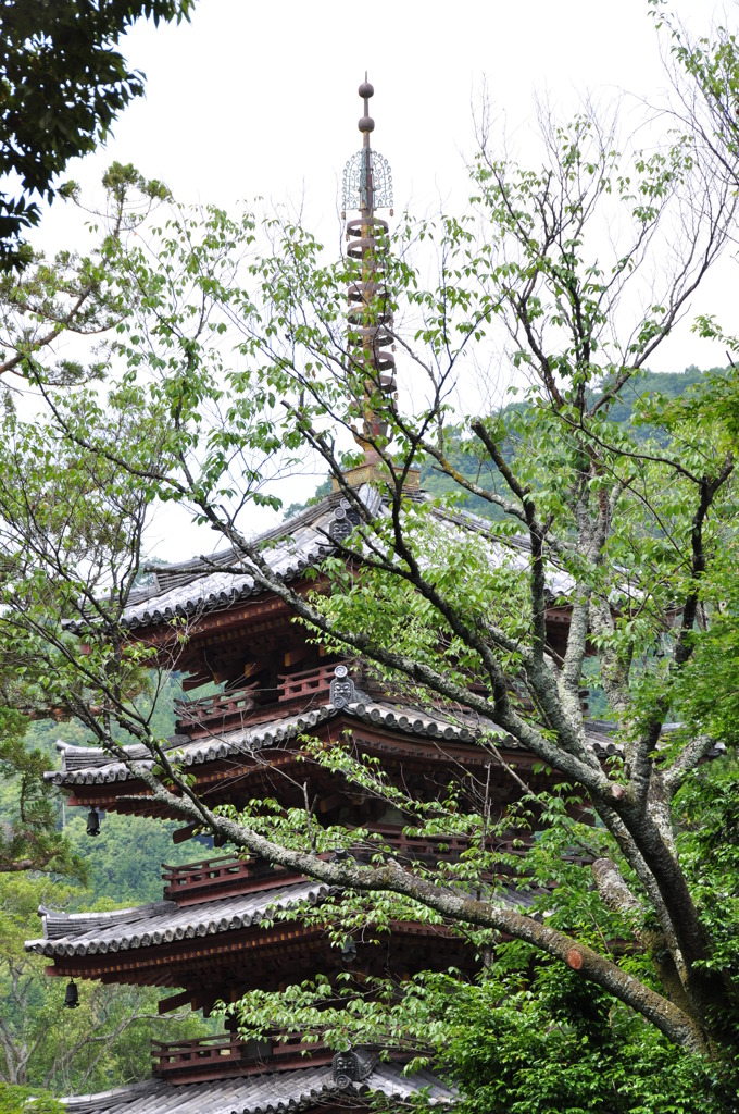 海住山寺五重塔