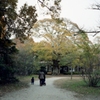img053