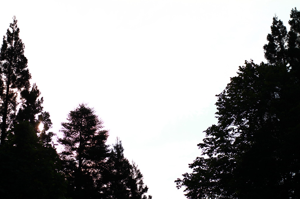 silhouette