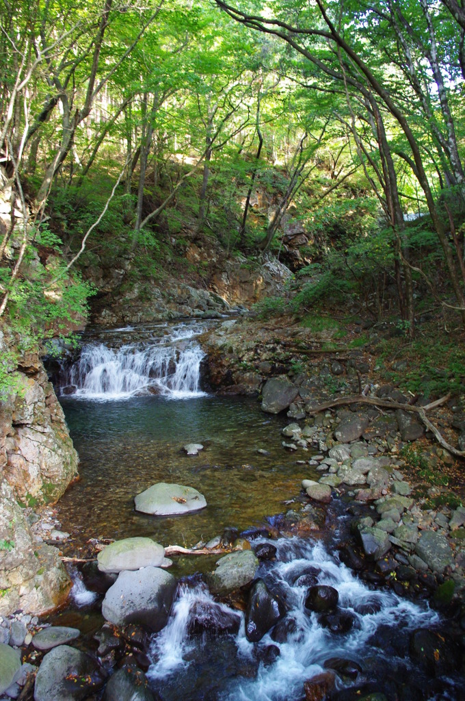 IMGP0211