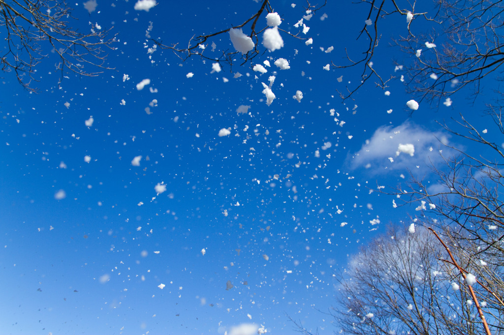 晴れ時々降雪?　by dai