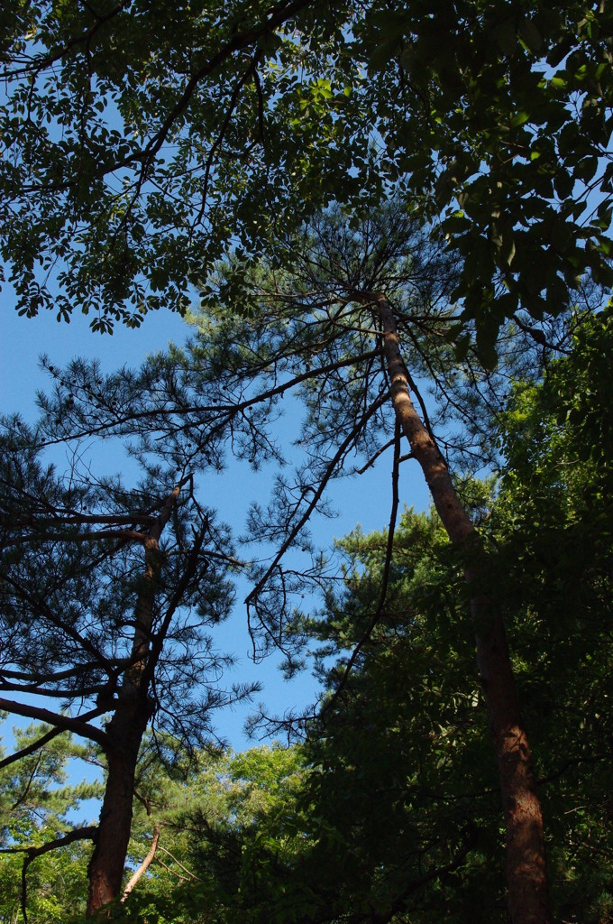 IMGP0206
