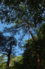 IMGP0206