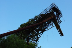 IMGP0314