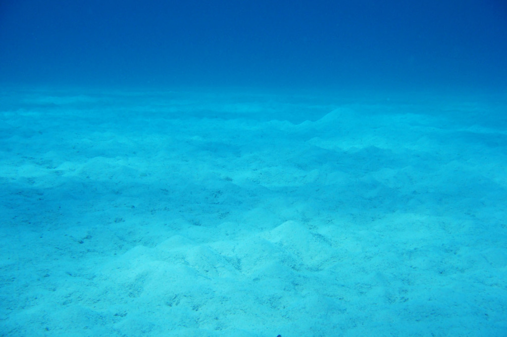 10ｍ海底の砂。 by dai