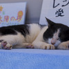 何もしたくない。。。