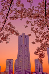 桜とランドマーク