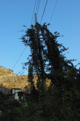 IMGP0304