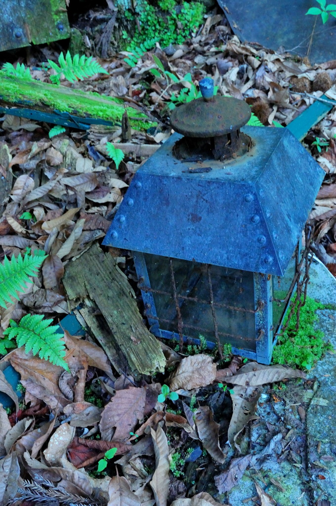 DSC_0453