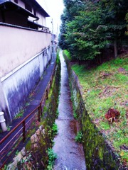 R0011430