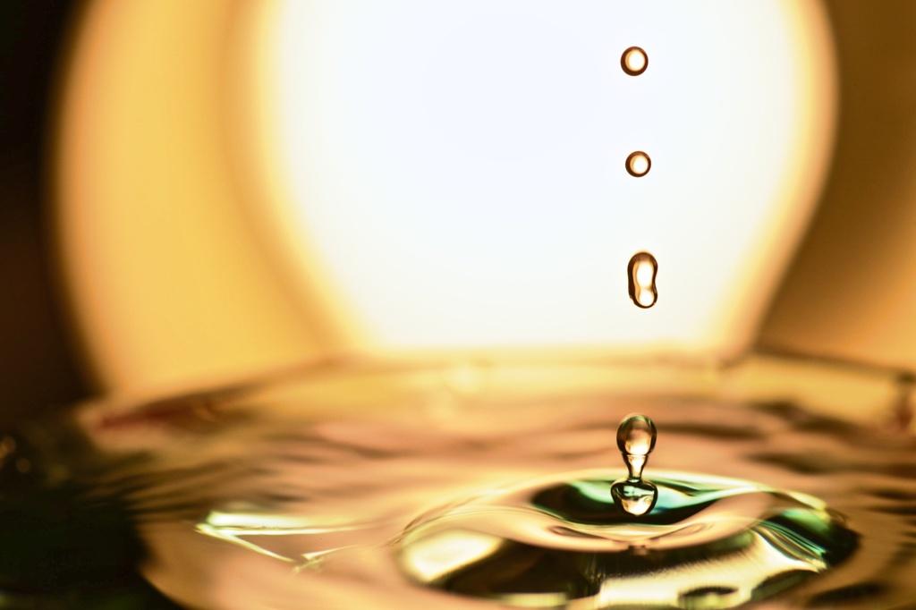 dive into.