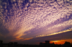 秋の空