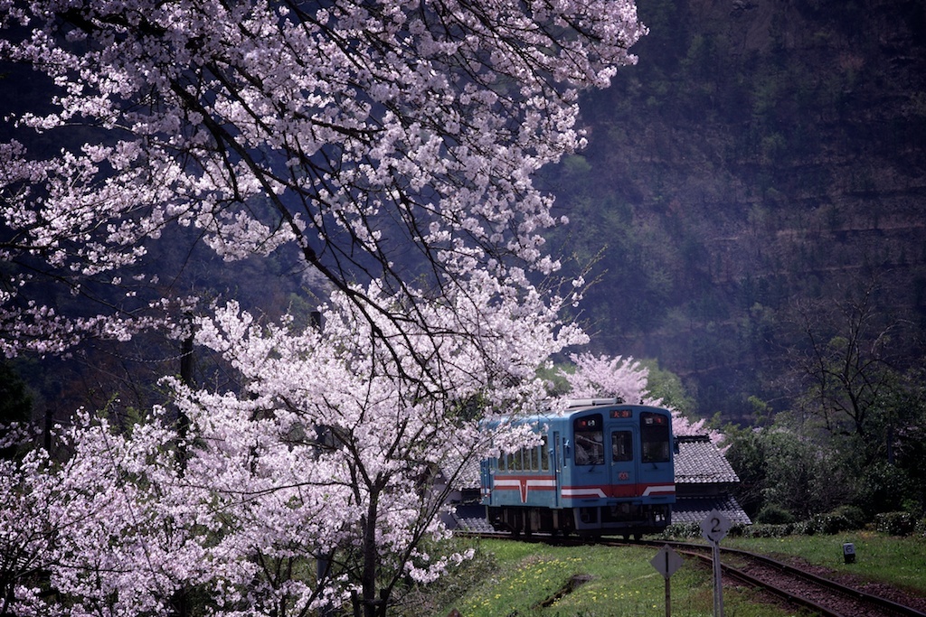 樽見鉄道