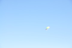 空高く