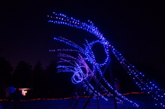 イルミネーション（昭和記念公園）