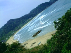 海