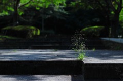 孤独