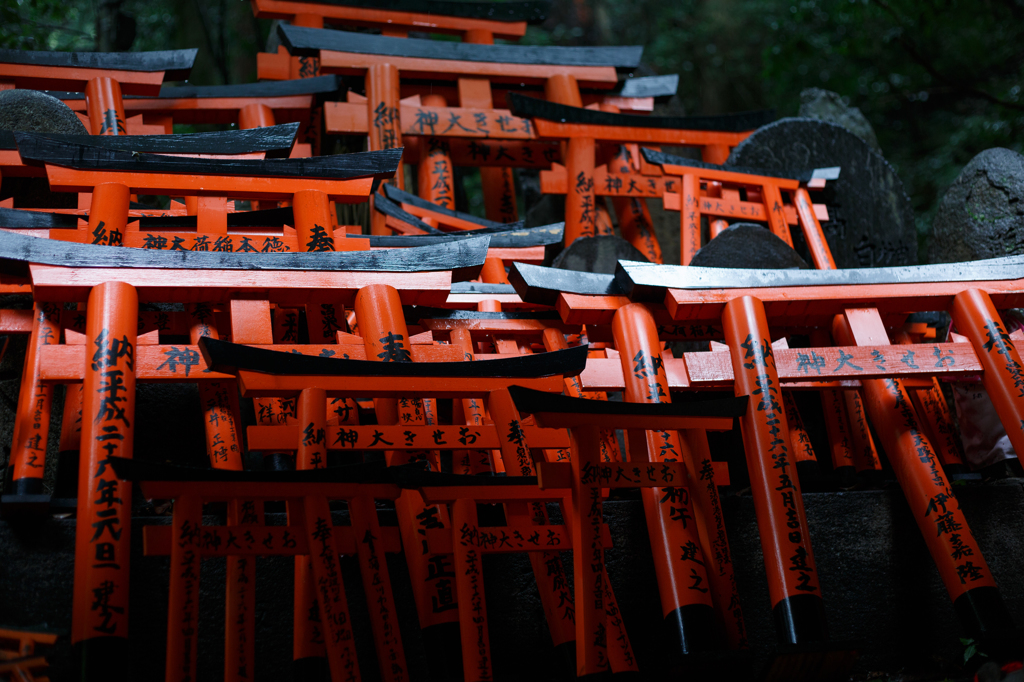 鳥居がいっぱい