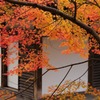 紅葉　７