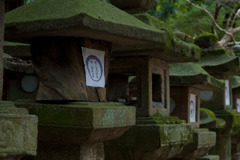 いつからあるのだろう