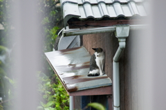 雨強くなったぞ