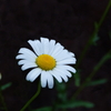 photo2012/7-3