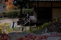 静