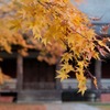 紅葉　９