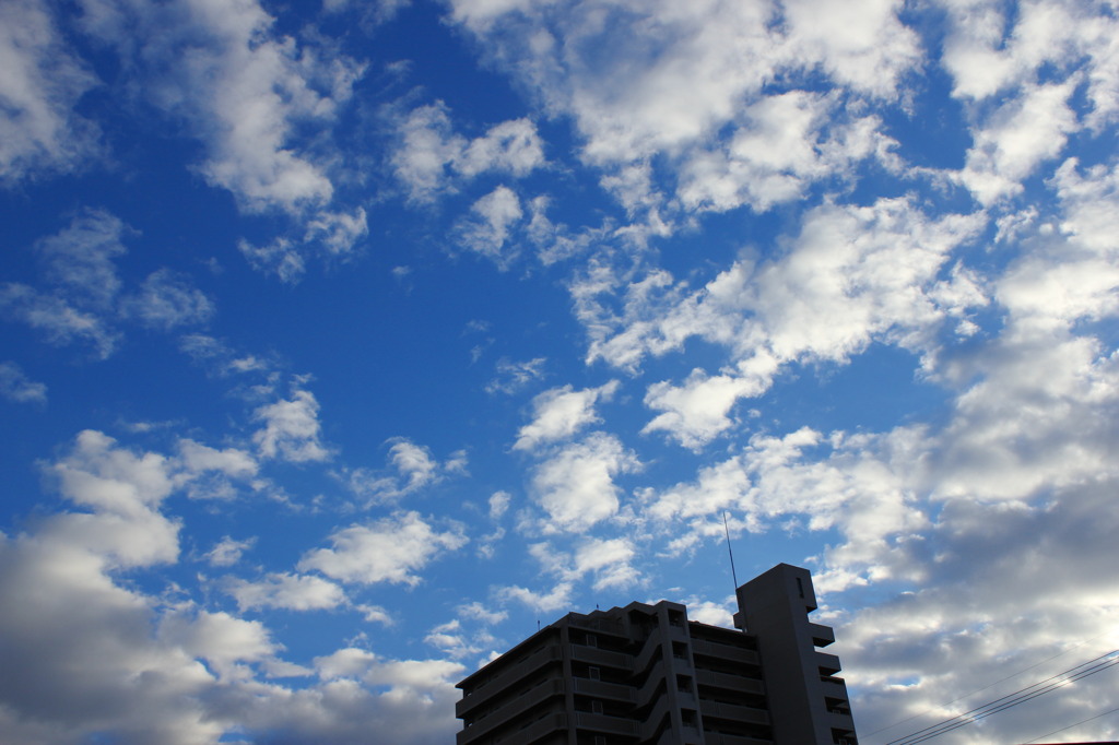 2010/11/18　No1